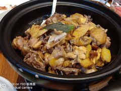 -饭怕鱼(阳光100店)
