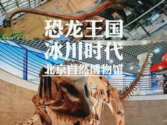 -国家自然博物馆