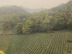 -灵顺寺