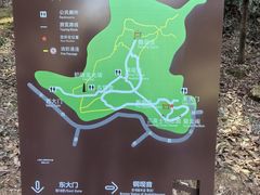 -上海佘山国家森林公园天马山园