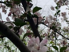 -闵行文化公园-停车场