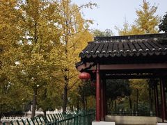 -东水关遗址公园