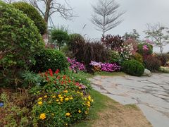 -东莞植物园