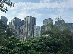 -石排湾郊野公园