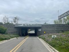 -白鹭湾湿地公园