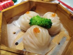 -新雅(丰盛里店)