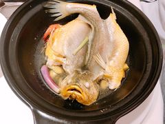 砂锅蒸黄花鱼-悦景酒家(罗湖店)