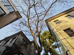 -徐家汇源景区-衡山坊