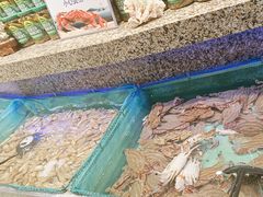 -初色海鲜自助(万丰路店)