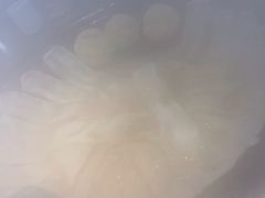 -屯老二农家铁锅炖·行业领军者(梅江店)