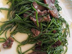 -撒拉人家.酸菜牦牛肉火锅