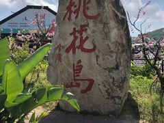 -桃花岛风景旅游区