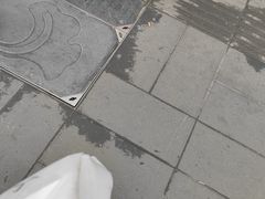 -邓氏兔头