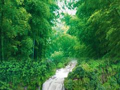 -蜀南竹海景区