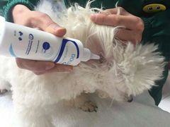 -惠康宠物医院(华能路店)