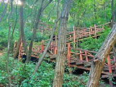 -大岭沟猕猴桃谷风景区