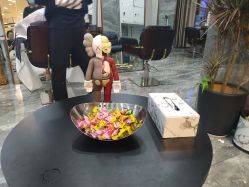 -YDO SALON