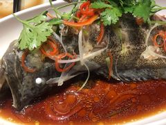 -必点海鲜·鲅鱼水饺(鞍山西道店)