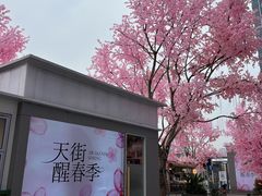 -首开·龙湖成都西宸天街