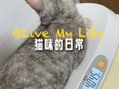 -立德24H动物医院·夜诊·转诊中心·1.5T核磁共振(海珠店)