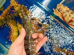 -鸿港海鲜批发市场