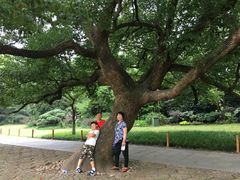 -西湖外事游船(花港观鱼码头)