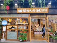 门面-猫的天空之城概念书店(杭州南宋御街店)