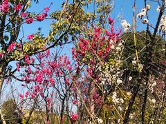 -狼山风景名胜区