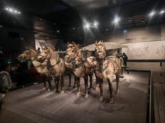 -秦始皇帝陵博物院-丽山园