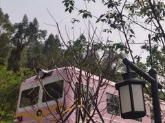 -小南山公园