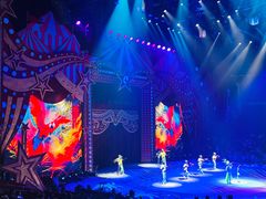 -珠海横琴长隆《卡卡虎奇遇记》