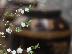 -爱新觉罗皇家博物院