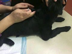 -惠康宠物医院(华能路店)