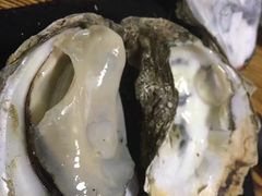 -大富蚝乌东哥饭店·石锅鱼杂·柠檬鸭(革新路店)