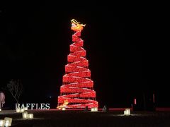 -海南清水湾莱佛士酒店