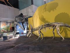 -湖南省地质博物馆