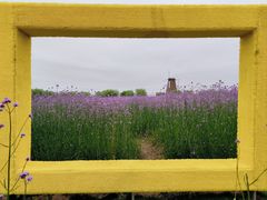 -漩门湾国家湿地公园