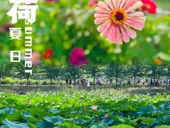 -沈阳森林动物园