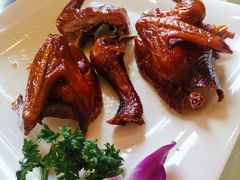 红烧乳鸽-新灿记大酒楼