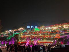 -枇杷园食为鲜火锅(南山店)