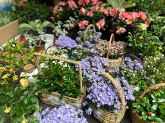 -循礼门鲜花花市(武汉循礼门店)