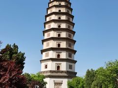 -开元寺塔