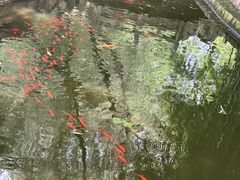 -东坡赤壁风景名胜区
