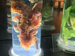 -广东中医药博物馆