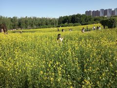 -长春公园(普阳街道)