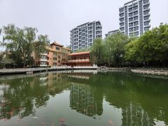 -新川办餐厅
