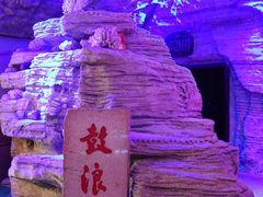 -贝壳梦幻世界