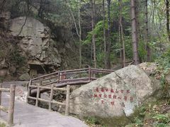 -王顺山国家森林公园