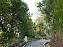 -广州市流溪河国家森林公园