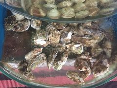 -四海鲜渔家菜(黄金海岸店)
